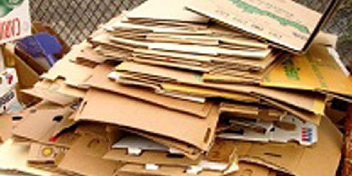 on site shredding service - cardboard recycling